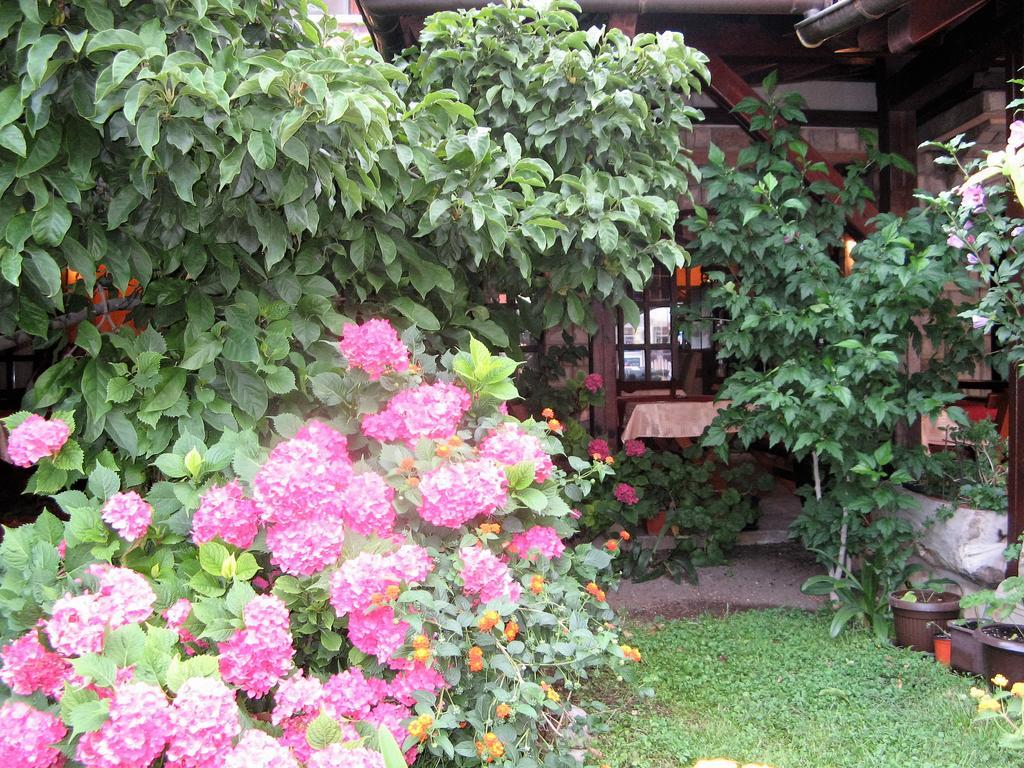 Guest House Zlatibor Budva Extérieur photo